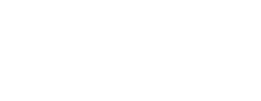 Accelerated Maturity — Future Simulator